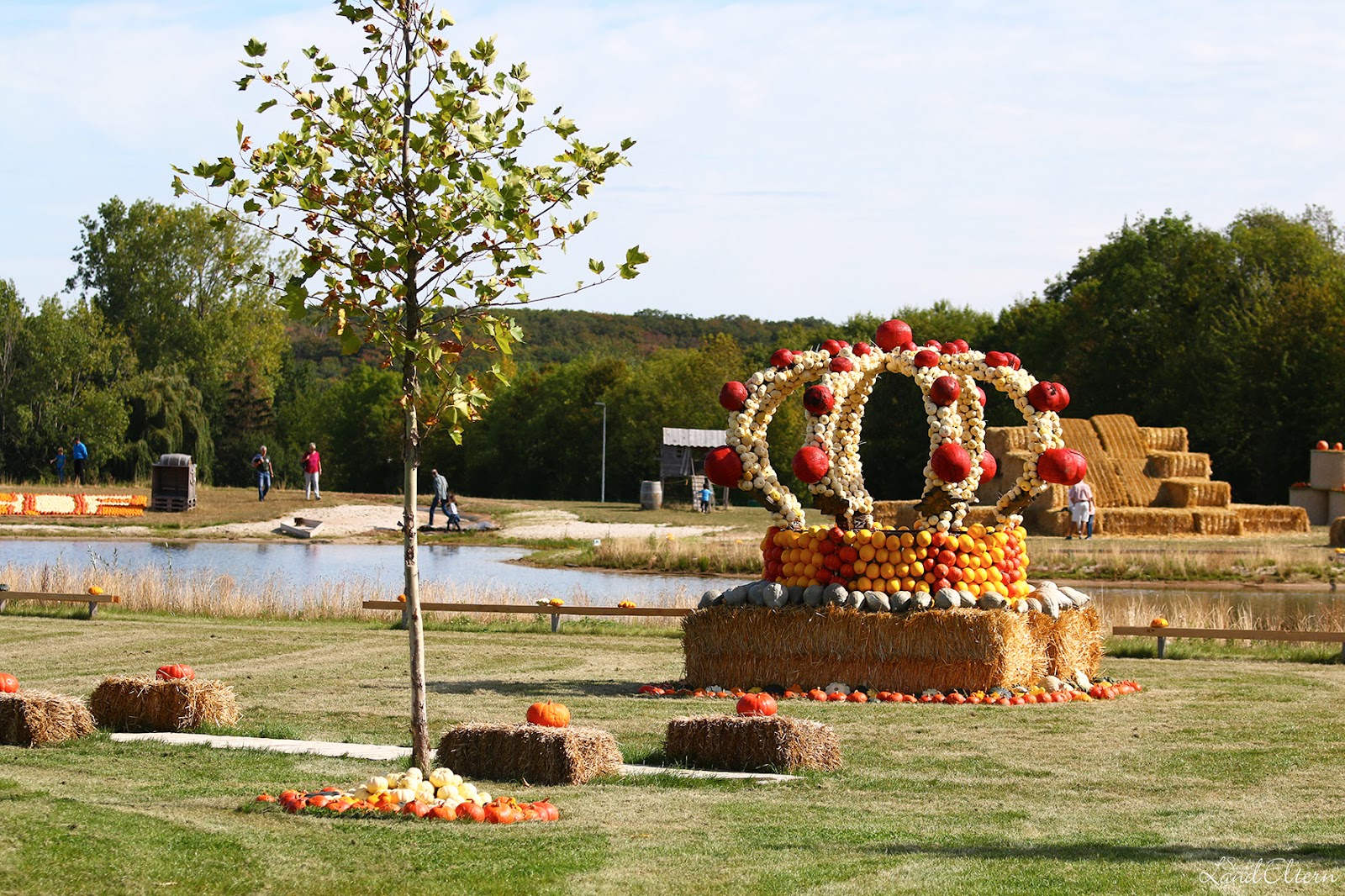 Mulltonnenrennen In Der Eifel Lokalzeit Aachen Lokalzeit