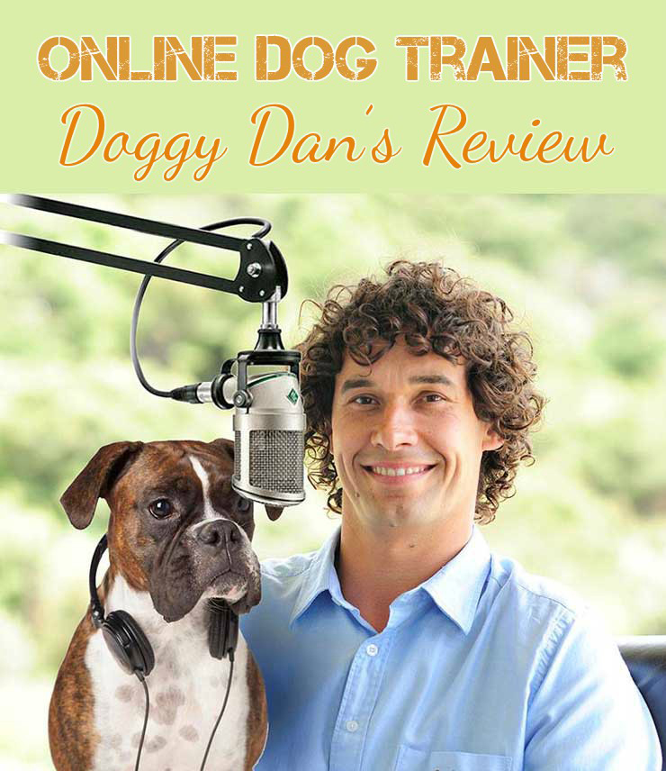 The Online Dog Trainer Review Dog Training Tips
