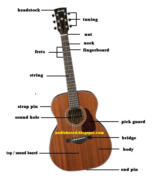 Bagian Bagian Gitar Akustik Dan Fungsinya Audio Broadcast