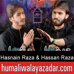 https://www.humaliwalyazadar.com/2018/09/syed-hasnain-raza-syed-hassan-raza.html