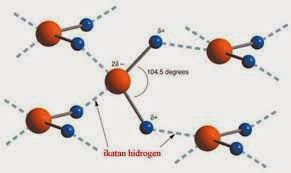 Contoh Ikatan Hidrogen - Ngasah Ilmu