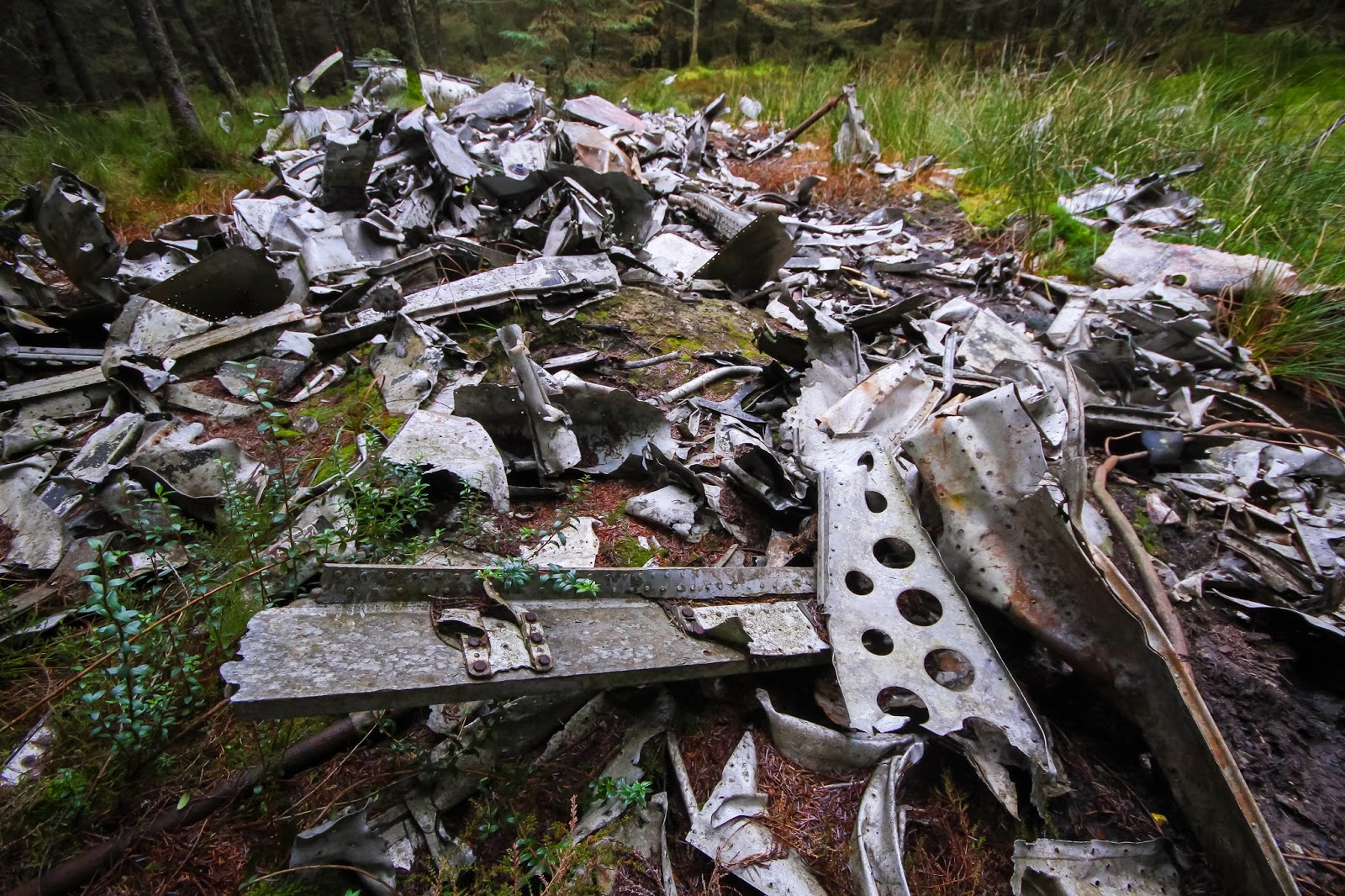 Military Aircraft Crash Sites November 2013