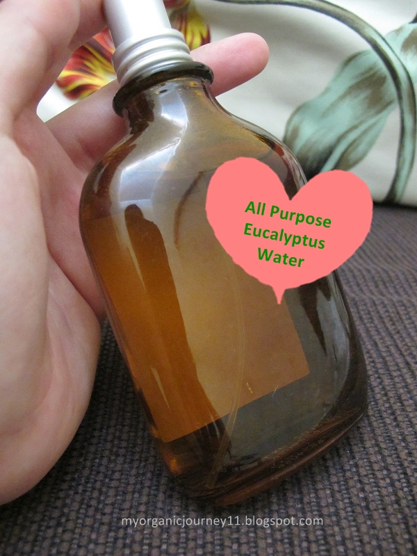 My Organic Journey DIY All Purpose Eucalyptus Water