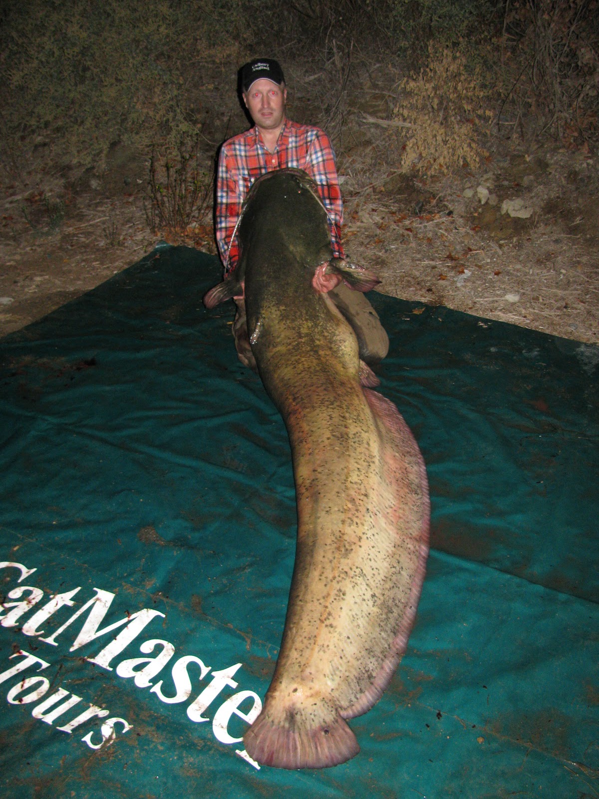 Go Fishing With Cadbury Angling Catfishing in Spain With CatMaster