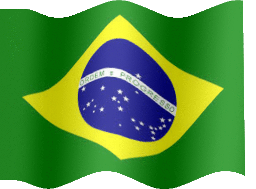 Resultado de imagem para gif bandeira do brasil
