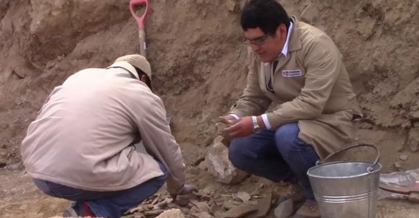 Descubren restos arqueológicos que podrían pertenecer a la cultura Wari cerca de complejo Wariwillka, en Junín Descubren restos arqueológicos que podrían pertenecer a la cultura Wari cerca de complejo Wariwillka, en Junín