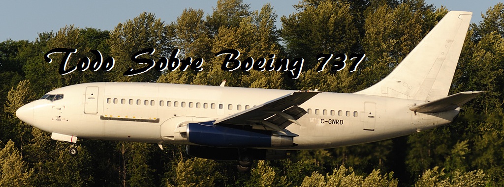 Todo Sobre Boeing 737