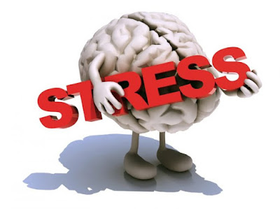 14 Consejos para reducir el estrés