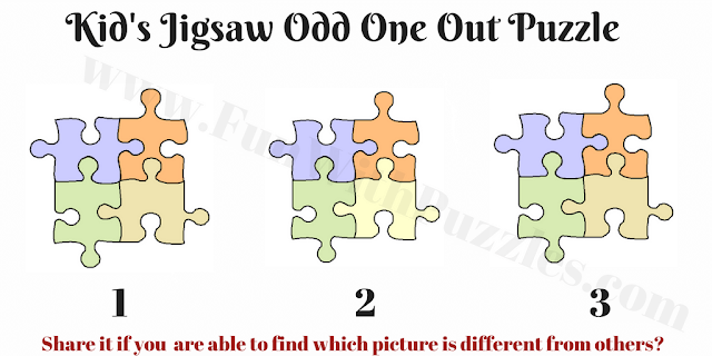 Can you find different Jigsaw Picture puzzle?