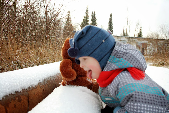 Утро На Бьорновой Опушке
