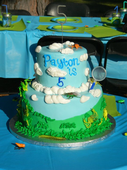 A Funny Thing Called Life: Payton's 5th Birthday Party