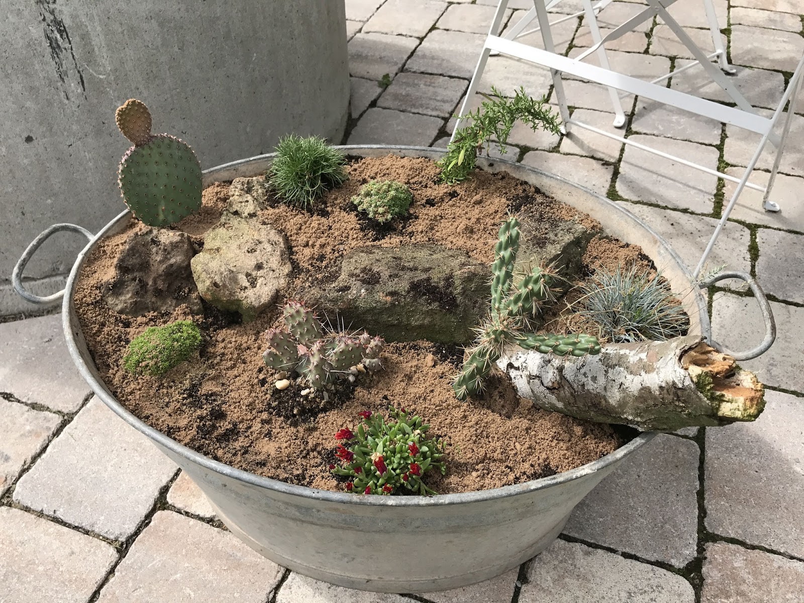 Erste Hilfe Bei Frostschaden An Pflanzen Pomponetti