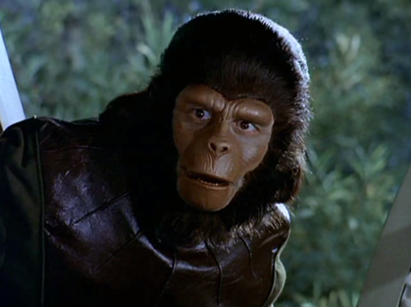 Archives Of The Apes Roddy McDowall as Galen