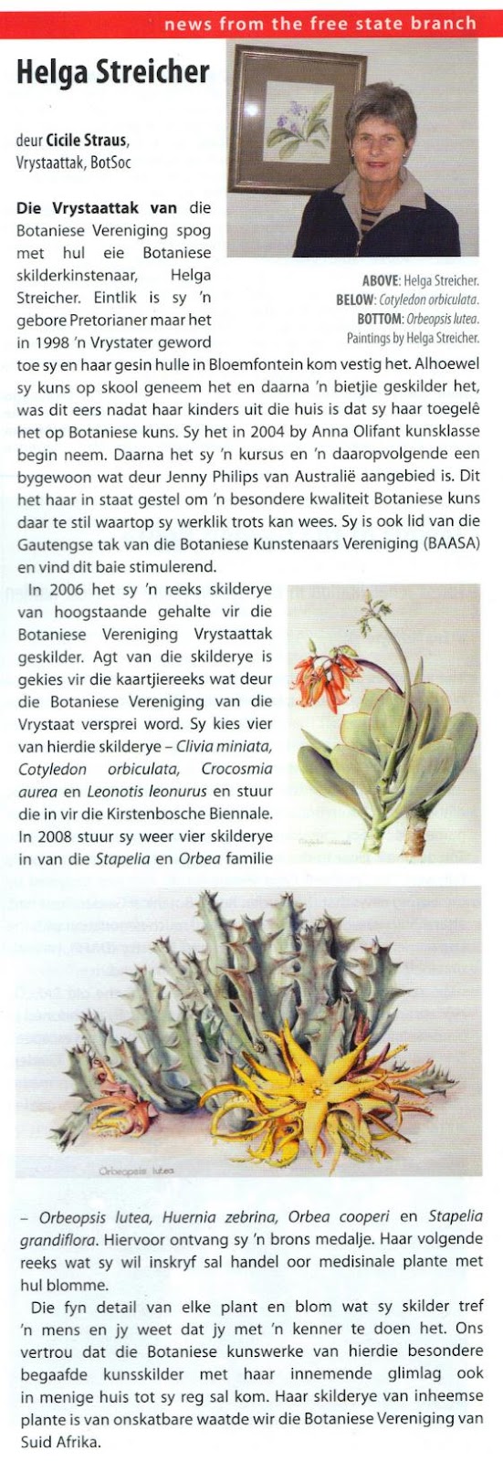 Botanical Artists Association of Southern Africa Helga Streicher