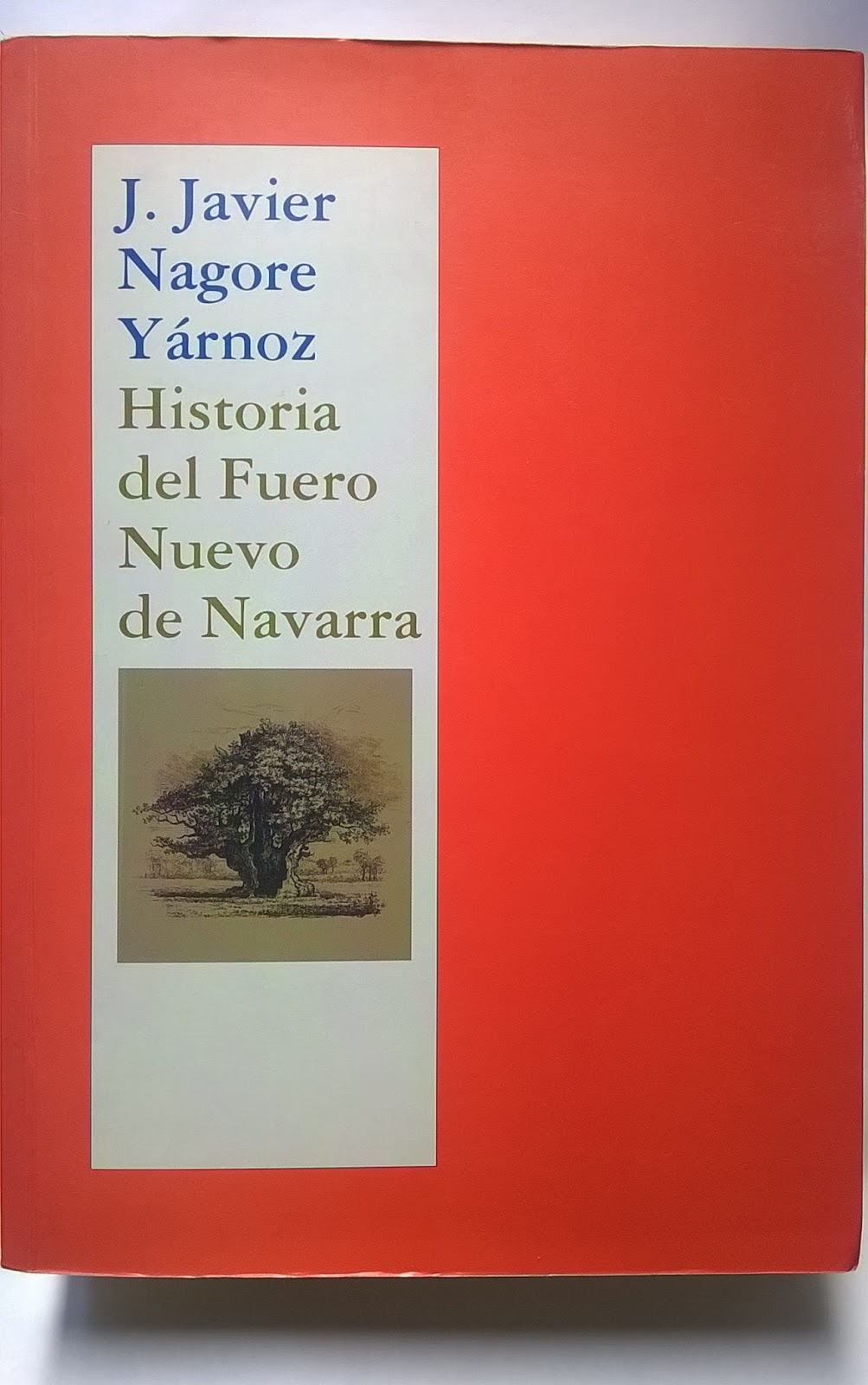 Navarra y Pamplona. España. Cuba José Javier Nagore Yárnoz