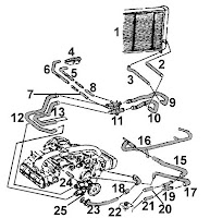 View from a Bus: Not a Water Leaker