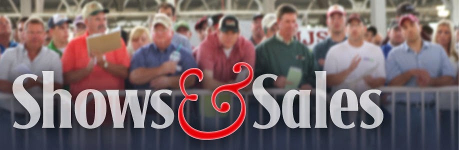 NSR Show & Sale Results