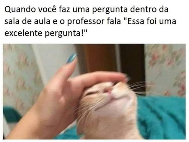 memes+engra%25C3%25A7ados+%252813%2529.j