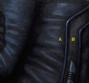 The area marked 'A' is Ivory black mixed with Titanium White. (black )