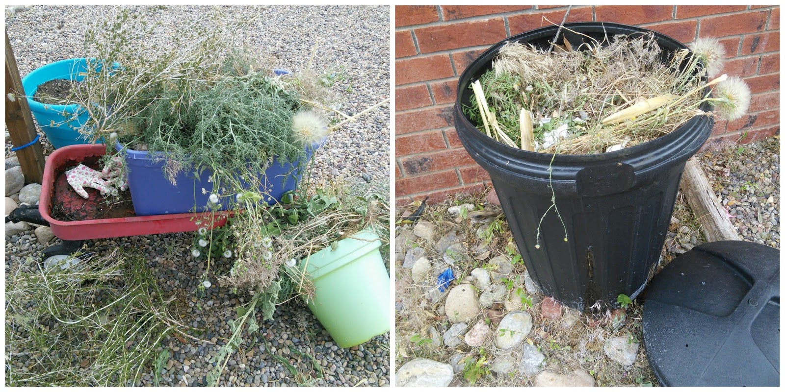 Puriya BreatheEase Balm Facts