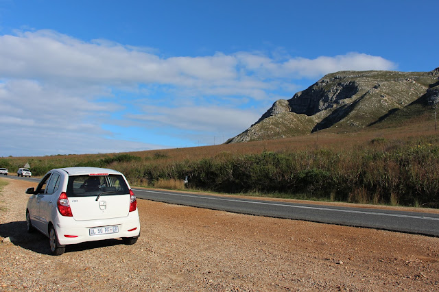 DICAS de viagem para VISITAR HERMANUS e ver baleias e mergulhar com tubarões | África do Sul