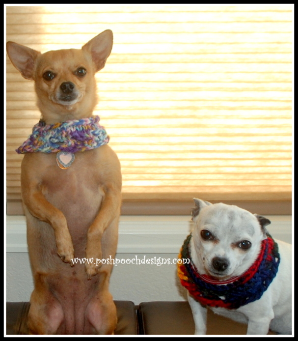 Posh Pooch Designs Chunky Knit Dog Collar Free Knitting Pattern Posh Pooch Designs