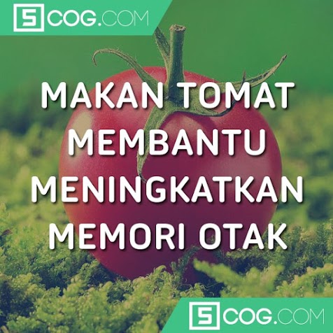 Buah Yang Mampu Meningkatkan Memori Otak Buah Yang Mampu Meningkatkan Memori Otak