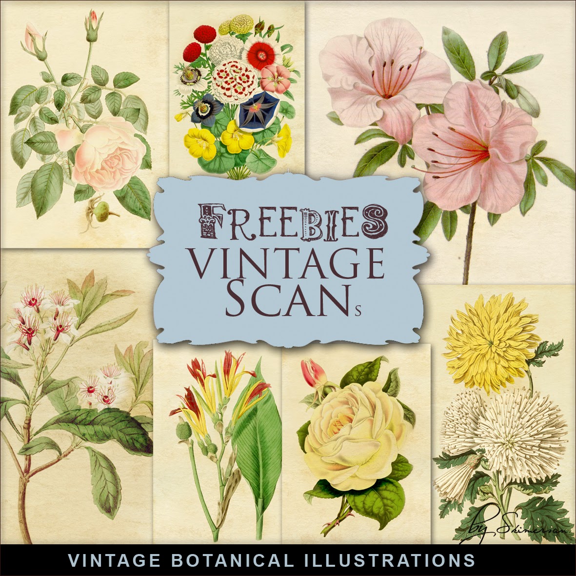 New Freebies Kit of Vintage Illustrations:Far Far Hill - Free database ...