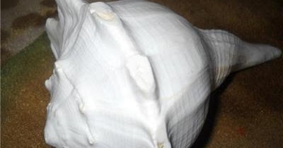 Shanknaad Of Ilkal Guys To Reduce Cracker Burning