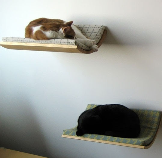 Photo : ペットのねこを壁飾りにできる猫用の壁かけベッド
