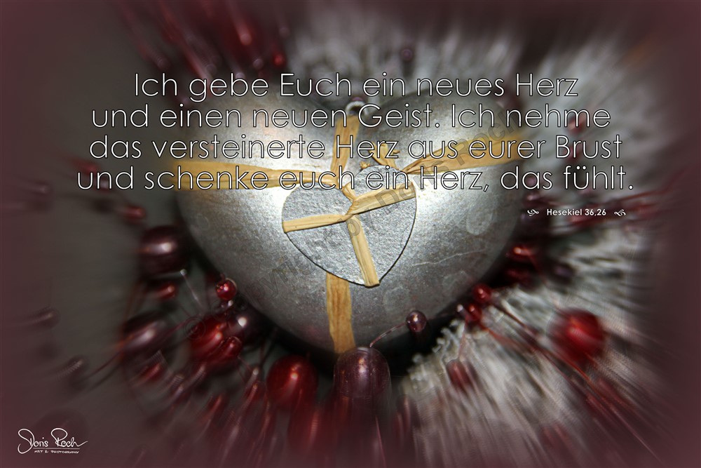 Slices Of Heaven November 2017