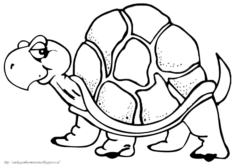 Gambar Mewarnai Kura-kura Untuk Anak PAUD dan TK  Aneka 