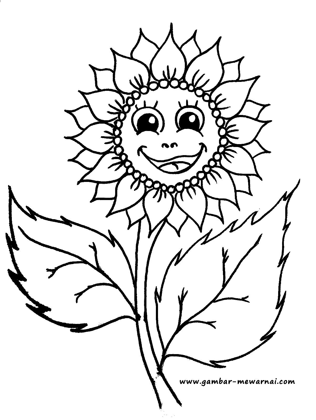  Bunga  Matahari  Lucu Contoh Gambar  Mewarnai