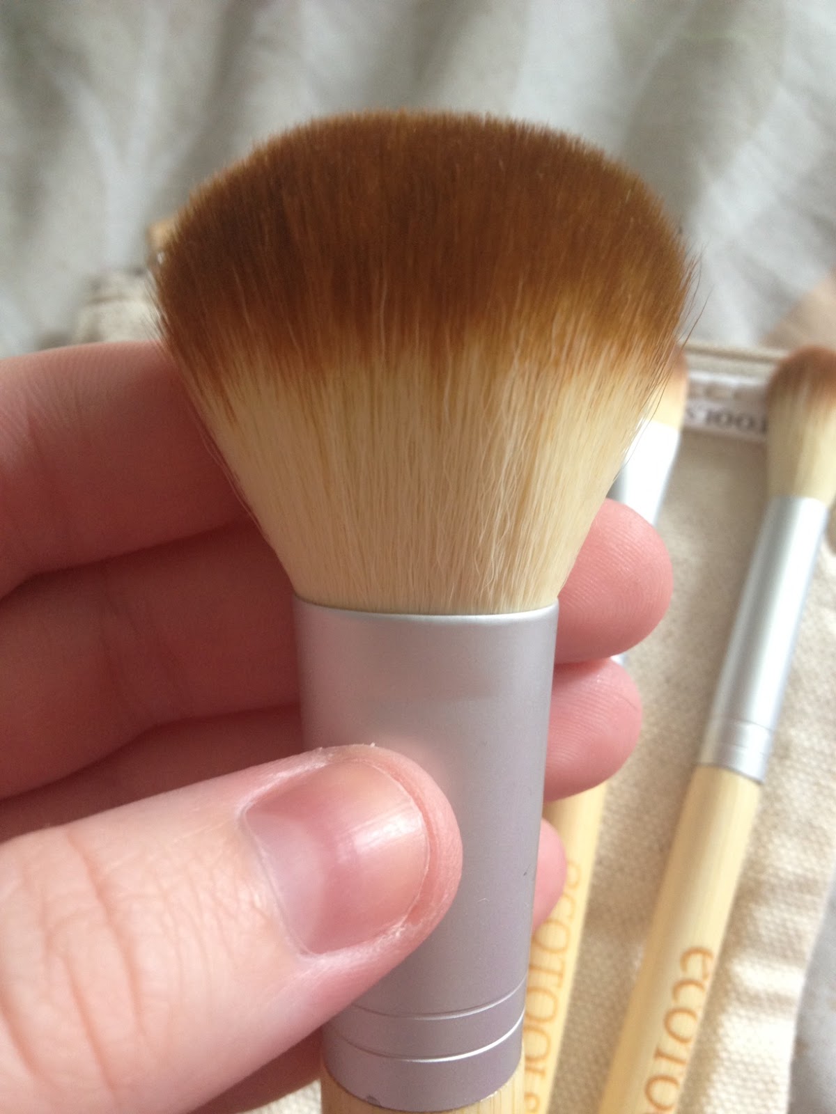 Describing Beauty Review; EcoTools 5 Piece Brush Set from eBay