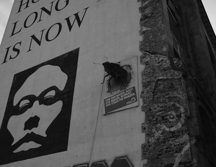 Kaninchenherz Berlin 2016