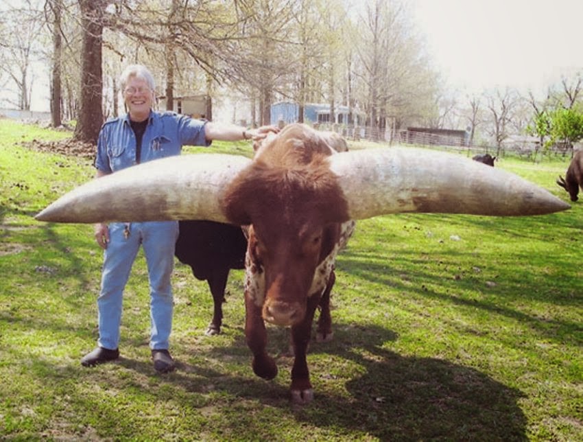 Dunia Sains Tahnu 3 Haiwan