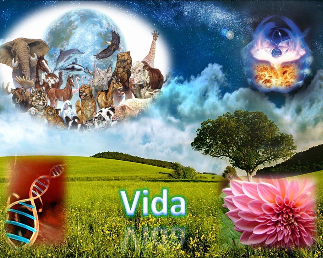 Clases de Biología La Biología estudia todas las formas de vida y su porma de interactuar, etc. Clases de Biología La Biología estudia todas las formas de vida y su porma de interactuar, etc.