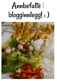 Anbefalte blogginnlegg!