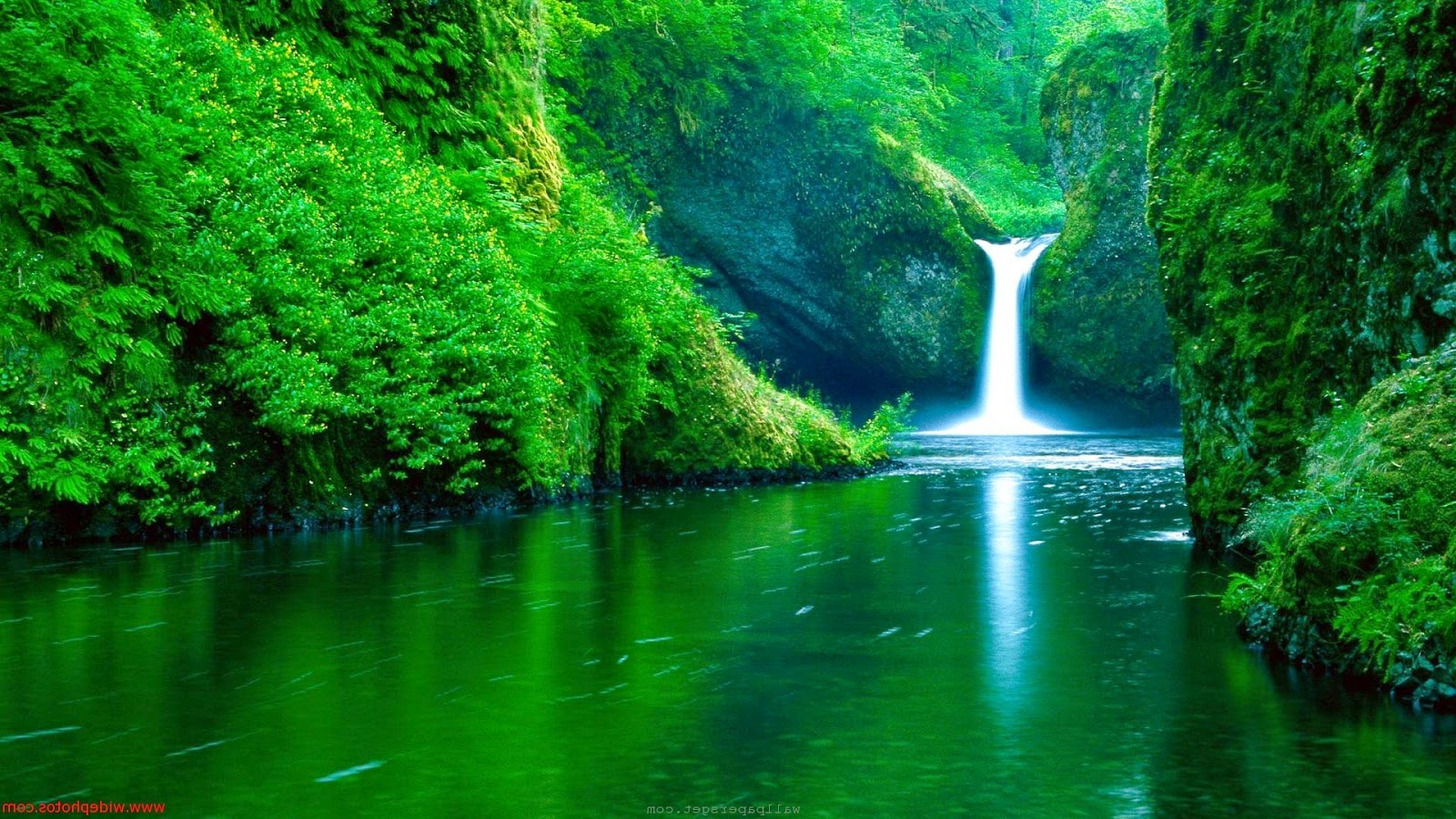 Hd Wallpapers Amazing Pictures Of Nature Free Download Here You Can