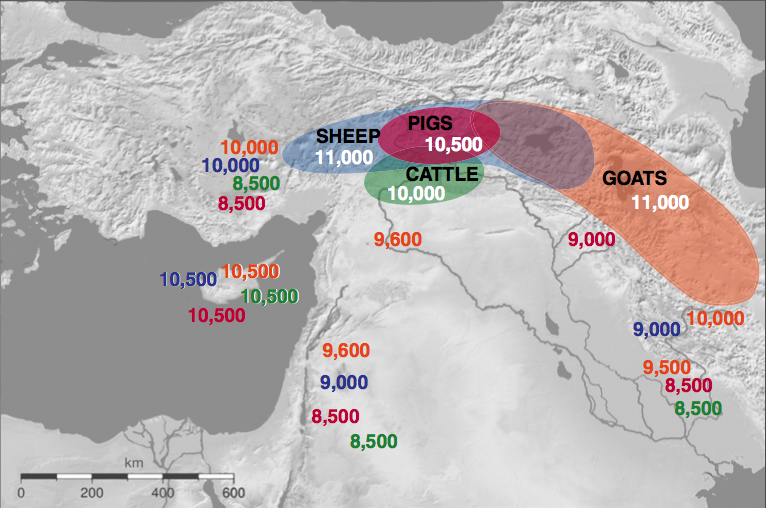 KurdishDNA Lactose Tolerance
