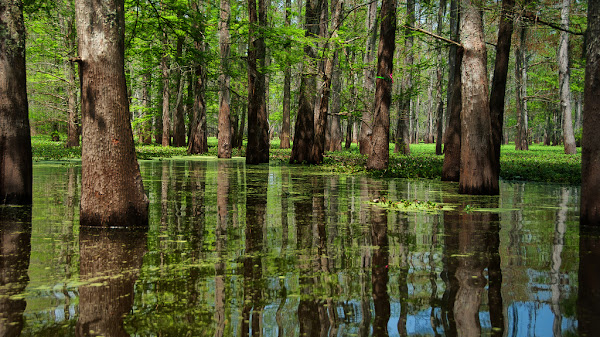 Rawa Pening: Wisata Alam yang Menakjubkan di Semarang