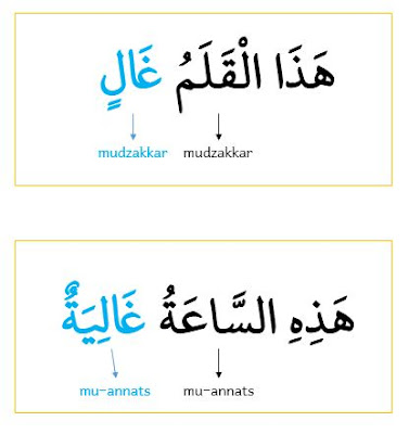contoh kalimat isim manqush mudzakkar dan muannats