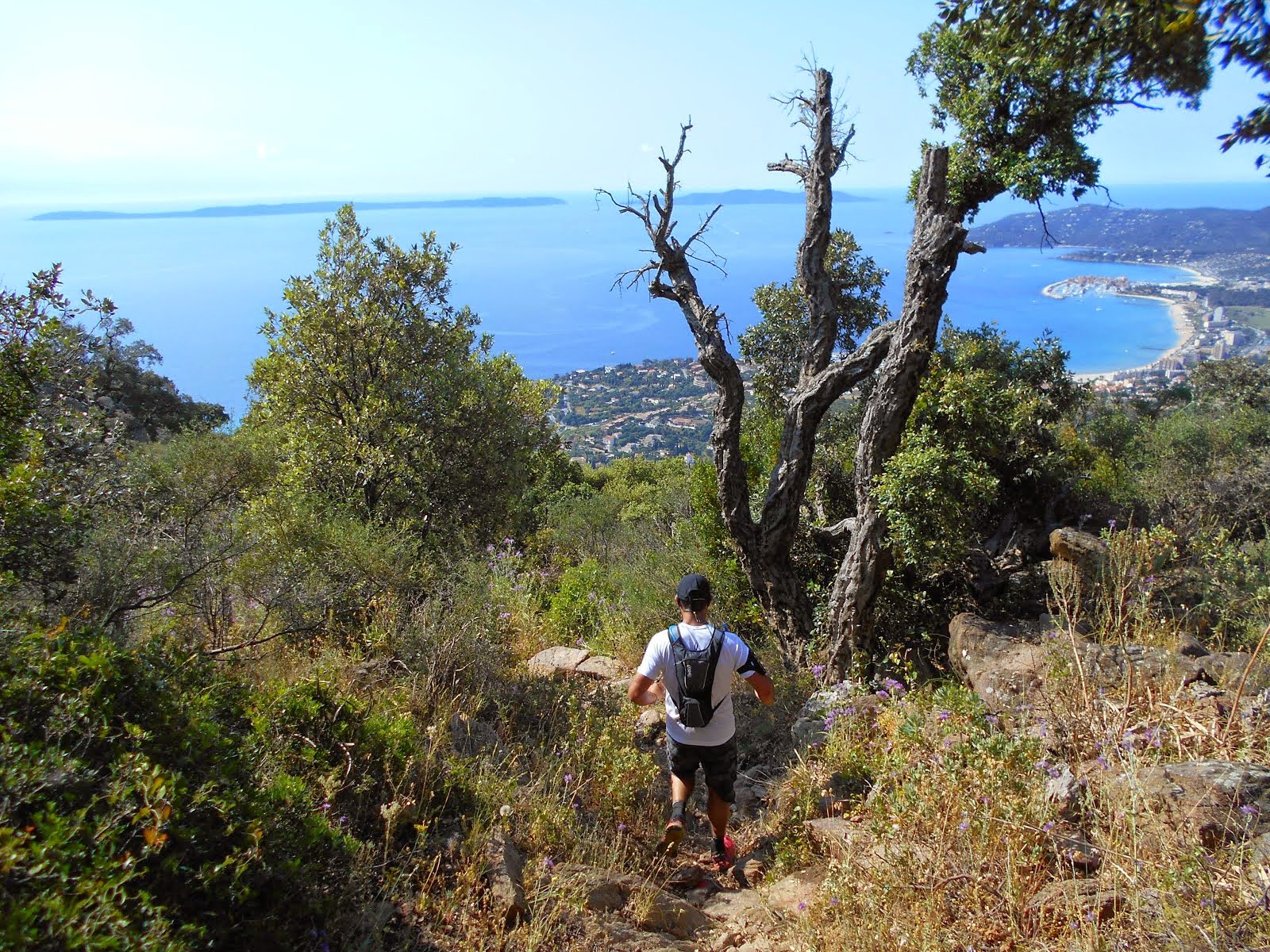 Le trail des trois dauphins 2015.