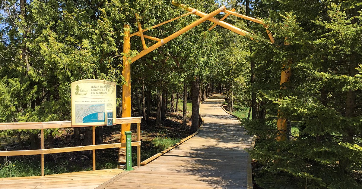Hiking at Ridges Sanctuary in Door County