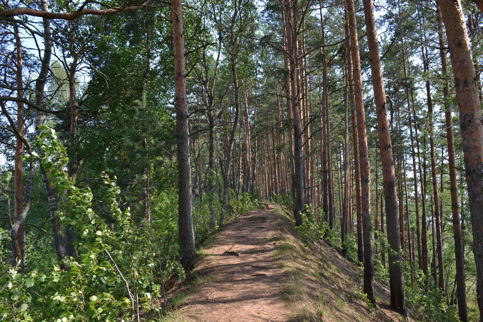 Красоты селигера остров кличен