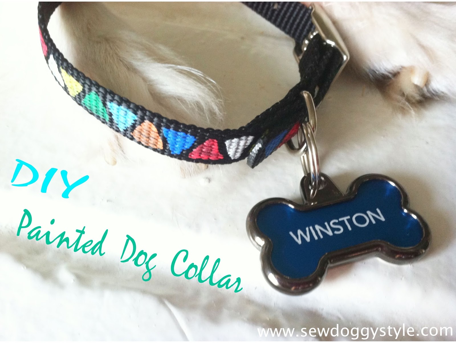 Sew DoggyStyle DIY Painted Dog Collar