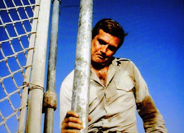 The Six Million Dollar Man Theme Song MUSINGS OF A SCI-FI FANATIC: The Six Million Dollar Man Theme