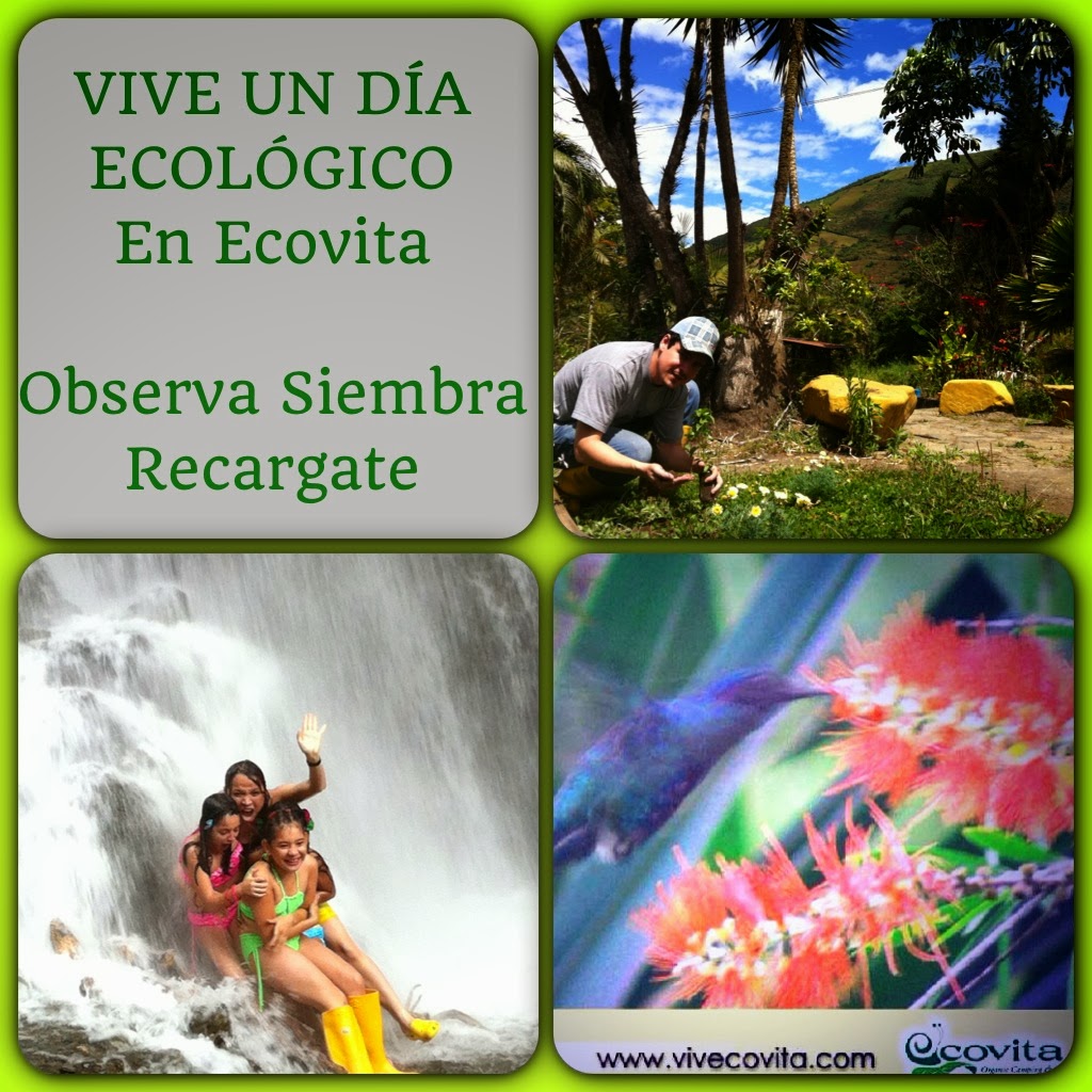 ECOVITA ORGANIC LODGE AND FARMECUADOR VIVE UN DÍA ECOLÓGICO EN