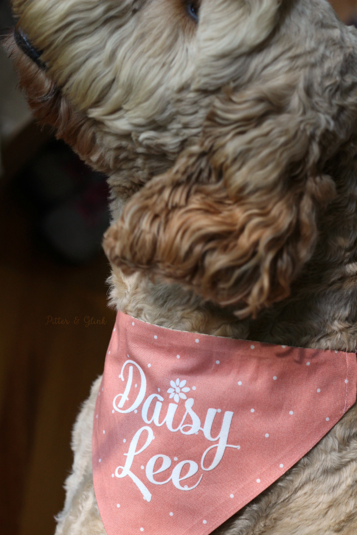 How to Make a Reversible, Personalized Dog Bandana | Use basic sewing skills, your Silhouette and HTV to create a unique pet accessory. pitterandglink.com
