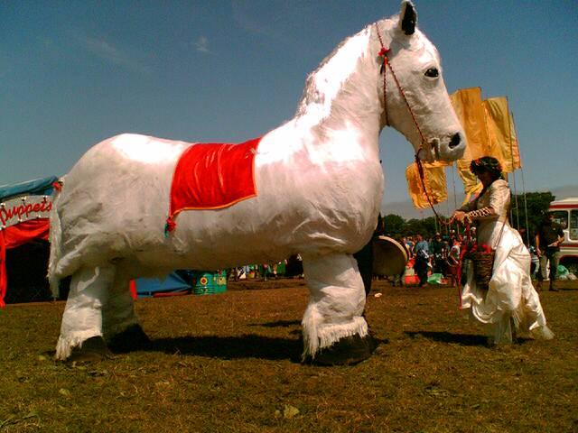White_not-wild_Horse-Arrived.jpg
